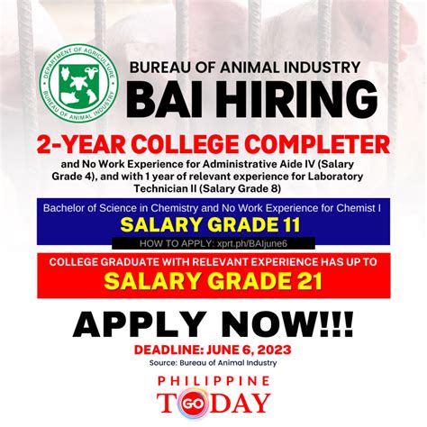 bai job vacancies|11 Vacancies Available at BAI, apply now .